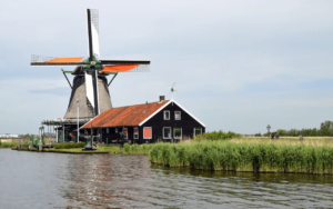 Top 5 most overrated players in the Premier League 2019-20